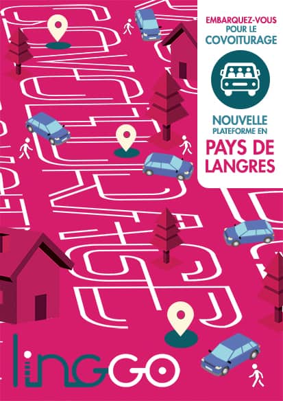 taxis et transports langres